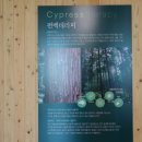 아로마체험실 이미지