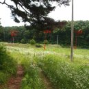 교동면-2 이미지