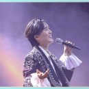 트로트 공주 콘서트 | 추억부터 전율까지 비바브라보 트로트콘서트는 왜 다녀와야 하는 공연일까