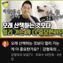 고동물병원 | 노견 케어 반성 후회 일기) 산책 시간 횟수 걷기 조절 / 조규만 외과동물병원 후기 구경 병원 추천