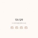 네모귤 이미지