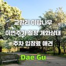 이팝꽃향기작은도서관 | 옥포 교향리 이팝나무 주차 애견