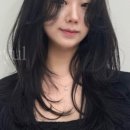 살롱, 해율
