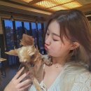 영철목장 | 19일. 아침미소목장에서 카이막 먹고 월정리로 슝