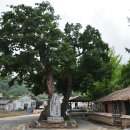 부남면 복지회관 이미지