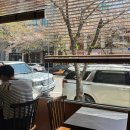미켈란젤로 빌딩 | [진켈란젤로 치즈케이크] 바스크 치즈케이크 맛집! 합정 맛집 카페 내돈내산 방문 후기 🍰