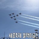 세종중앙공원 | 세종축제2024 블랙이글스 공연 관람 후기 | 세종중앙공원뷰