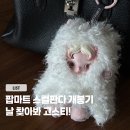 팝마트 스컬판다 랜덤박스 개봉기, 날찾아봐 키링 고스티 후기