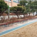 장학초등학교 이미지