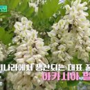 한국양봉농협동물병원