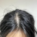 [샴푸 헤어팩 추천] 루트헤어 솔트 스칼프 스케일링 샴푸 솔트 스칼프 앤 헤어 팩 후기