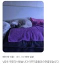 한남심장내과동물병원 이미지