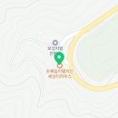 초록잎이펼치는세상티하우스보성차밭점 이미지