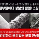 미헤어코코