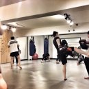 영동복싱다이어트 이미지