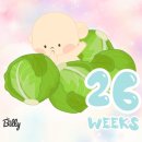 두상농장 | 임신 26주 일상 기록, D-100 지나며 주변에 감사하고 또 감사한 요즘