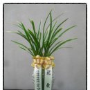 예성프라자 이미지