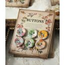 돼지블라썸 이미지