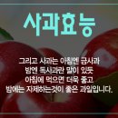 아침 영업센타