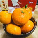 제주댁 농장 이미지