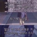 최고집짬뽕 - 안성시 만세로 1216 | 최고집짬뽕
