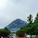 청와대 개방 관람 가능한 날짜 시간 예약 방법 후기