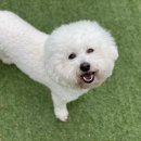 꿈나라유치원 이미지