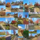 호매실천 이미지