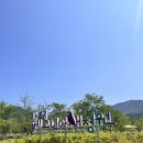 베고니아 | 경기도 실내 데이트 추천 가평베고니아새정원 방문후기 (입장료, 할인정보)