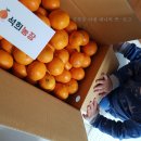 석희농장 | :: 석희농장 , 오케이 딸기 :: 아이디어스에서 과일도 ?!?!?