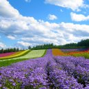 민생 행정사사무소 이미지