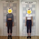 샤인핏필라테스 | 잠실 필라테스 샤인핏필라테스 척추측만증 자세교정 고객 후기