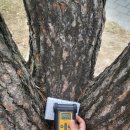 카이스트 학사식당 | 오픈카이스트2025, 개인관람은 카이스트산책이라 생각하고오기!