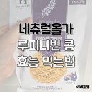 네츄럴올가 당뇨콩 후기 당뇨에 좋은 루피니빈 콩 효능과 부작용, 먹는 법까지