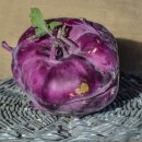 글로리 팜 이미지