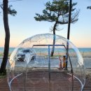 연곡해변 이미지