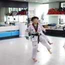 한미태권도 이미지