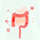 (주)플러스랩에스 이미지