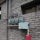 부발약국 이미지