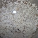 고향묵은지생삼겹살 이미지