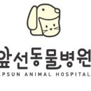 서울하은동물병원 이미지