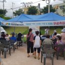 되지 생활건강 이미지