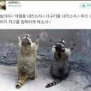 불사조 이미지