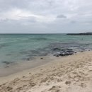 순이네민박 이미지