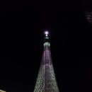 꾼들의 이야기 | 아사쿠사 골목,신사 나이트 투어 By 차부 石田瑠愛 이시다 루이토), 오시아게와 스카이트리 야경이야기