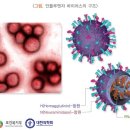 온기한의원 이미지