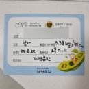 로즈마리 | 초산모 자연분만 성공 후기 아쉬웠던 대구 칠곡 로즈마리 출산 후기