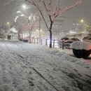 올고든정형외과의원 이미지