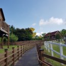 임실치즈벨리 이미지