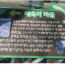 부산평화시장 이미지